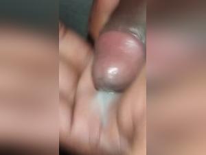 Hardcore Reality:  Zoomorphic Encounters