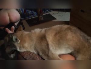 Les femmes qui decouvrent leur desir a l'abri de la nuit