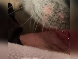 Extreme bestiality scene with a dog