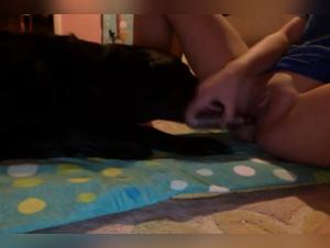 Hard and exciting sex scene with a dog