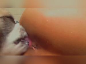 Video of amateur zoophilia with a dog