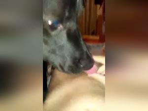 Watch this woman fuck with a big dog