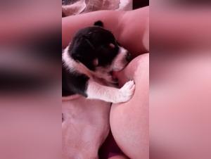 Bestiality Sex Video: An Exciting Experience