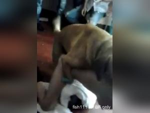 Bestial Experience with a Dog