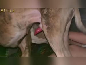 Discover the sexual antics of a chubby girl with her dog