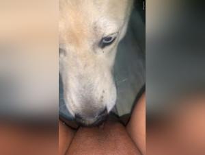 A whore dog acts like a dog to make us scream with hunger!