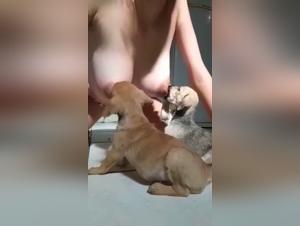 Lattancia Animalca, brutale e hardcore divertimento