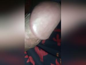 hidden dogporn & muvisex archives