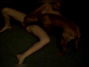 Desideri sadici: una donna, un cane, una passione ossessiva