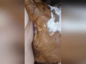 artofzoo porno : explorations sensuelles