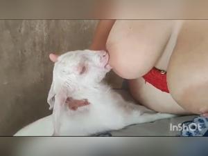 Découvrez les plaisirs de la bestialité avec cette vidéo de sexe avec chien et d'autres animaux