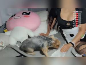 Vidéo de Bestialité : Une Expérience Excitante et Sensuelle