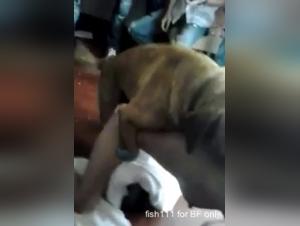 Video of Bestiality and Extreme Sex