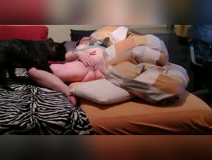 Discover the Ecstasy of Zoophilia