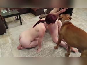 Oscenita Acine: Scopata di animali senza riserve