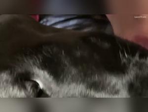 Dominazione canina: la bestia che e in lei