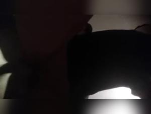 beastiality dog knot compilation