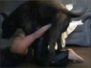 forbidden desires: german shepherd's allure