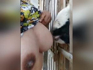 Sensual explorations, lactation and animal submission