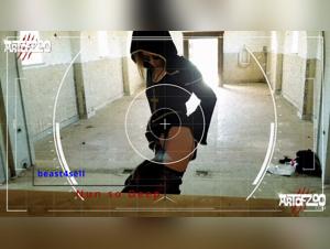 Dog bites, wild domination