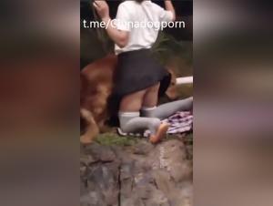 Schuler und Hund ohne Grenzen