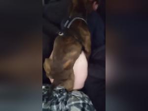 Lurextv & Zooporno Insights