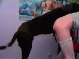 Discover a Unique Bestiality Experience