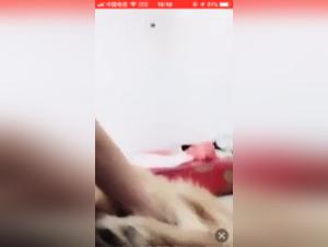 Explore the art of bestiality with our selection of bestiality videos