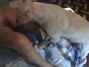 Sex with animals: A woman and a dog