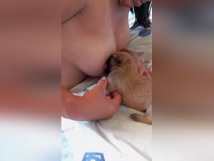 Vidéo de sexe avec chien : une expérience extrême