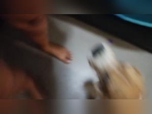 A lesbian passionate about zoophilia ready to take you on an artofzoo expedition