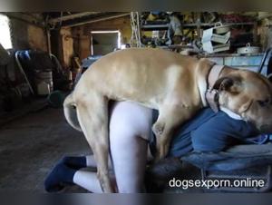  Relation sexuelle entre humain et chien, porno muvisex animal