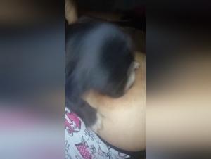 Extreme dog sex video