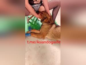 animal kiss and wild enjoyment on the rural domain