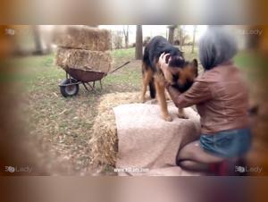 Esplorazione bestiale: cazzo selvaggio con i cani