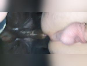 blurring lines: dog and desire entwined