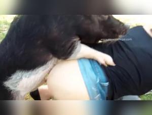 Prima Sessione: Una Troia Al Servizio Del Suo Istinto