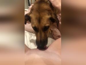 Extreme dog sex video