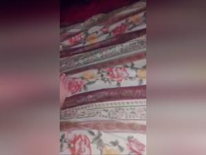 Zootaboo Encounters: Unveiled Truths