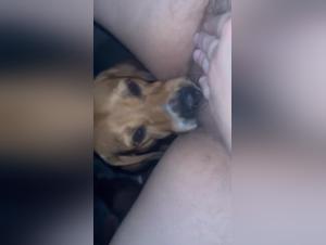 BBW sous le contrôle d'une passion canine insatiable
