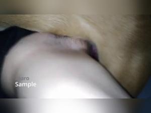 Discover the Pleasures of Love with a Dog