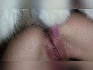 Unveiling the Obsession: Psychological Roots