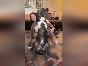 Discover the Limits of Bestiality in this Hardcore Video