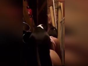 Slow Motion Dog Sex Videos