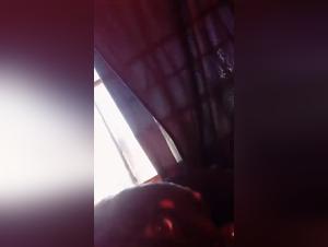 Dog fucks, wild passions, hardcore scenes