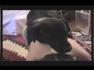 Zoophilia video with a woman and her dog