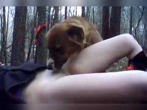 Sex video with a dog: an extreme experience