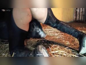 Animale alto senza limiti