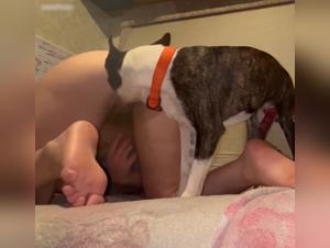 Exploring the Dark Side of Desire