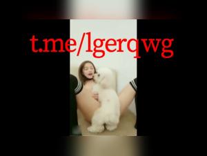 Videos of bestiality and extreme acts